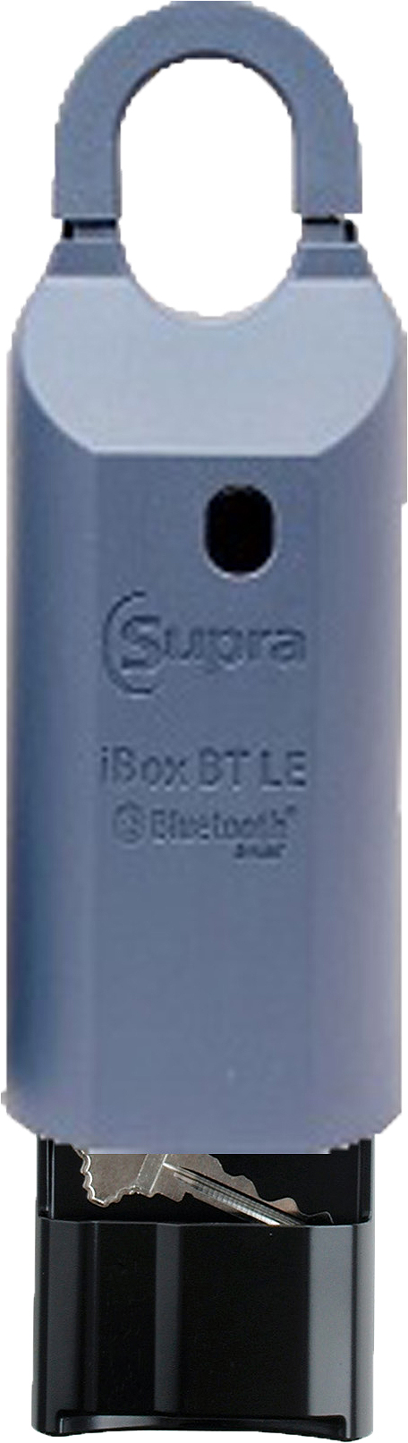 Lockbox with key showing.jpg